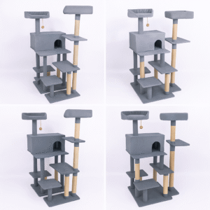 Ansamblu Pisici „Sasha”