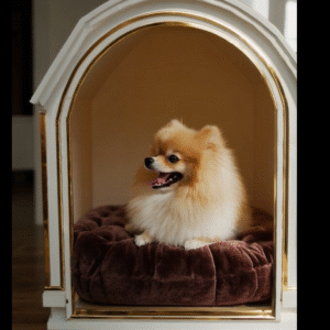 Căsuțe premium de interior pentru căței de companie - model "Belvedere"