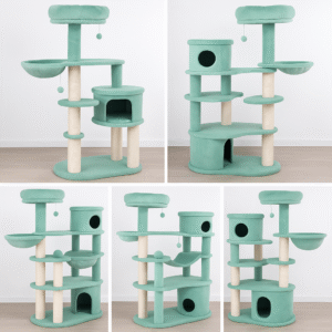 Ansamblu pisici Sasha