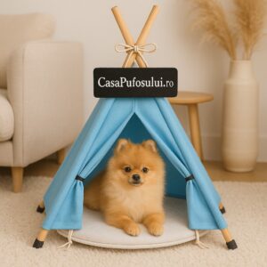 Cort cățel sweet blue